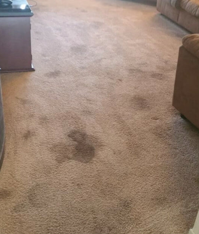 Before - High-Traffic Commercial Carpet Restoration